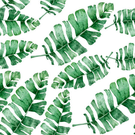 Watercolor tropical palm leaves seamless pattern. Jungle leaf hand drawn illustration.の写真素材