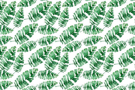 Watercolor tropical palm leaves seamless pattern. Jungle leaf hand drawn illustration.の写真素材