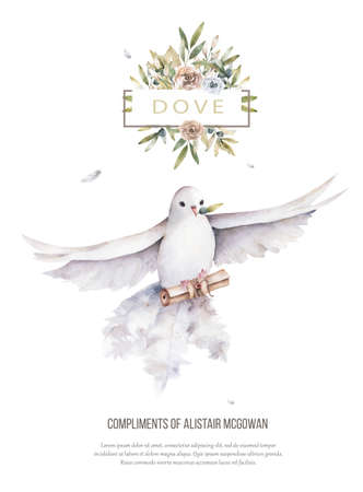 Pigeon and olive clip art digital drawing watercolor bird fly peace dove for wedding celebration illustration similar on white backgroundの写真素材