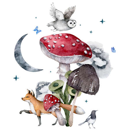 watercolor fox in the forest, owl, magpie, mushrooms, moon. Autumn night forest in pastel colors.の写真素材