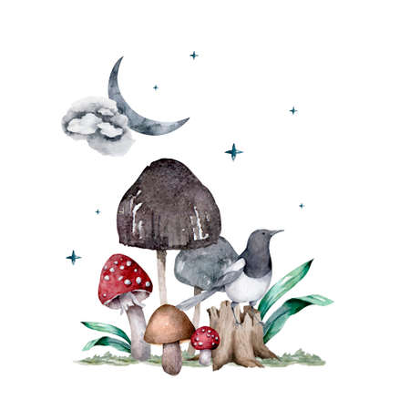 watercolor mushrooms, forest plants, magic mushrooms, autumn forest.の写真素材