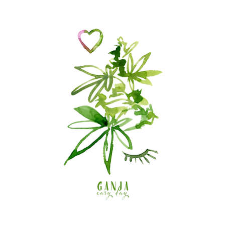 Cannabis branch sativa watercolor illustration. Medical marijuana. Plant of love in pink colors. Botanical illustration, ganja.の写真素材