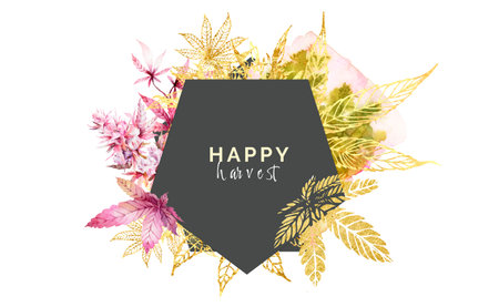 Cannabis harvest, marijuana leaves frame for text. Botanical watercolor illustration of health, golden plants. Ganja cones background in pink colorsの写真素材
