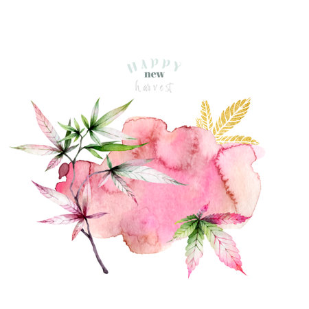 Cannabis harvest, marijuana leaves frame for text. Botanical watercolor illustration of health, golden plants. Ganja cones background in pink colorsの写真素材
