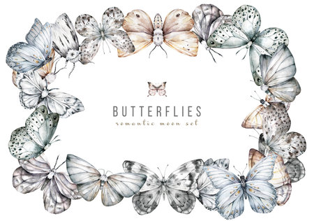 Black and white butterflies watercolor rectangular frame for text. Plants and garden life, insectsの写真素材