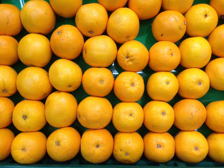 A dozen of orangeの素材