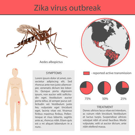 Zika virus infographics with transmission, symptom, prevention and treatment.のイラスト素材