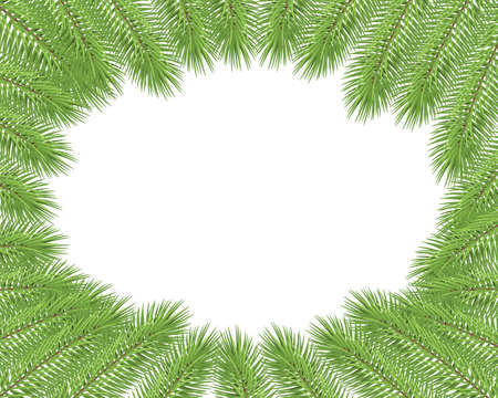 Merry christmas background with fir, christmas tree branches on white , green branchesのイラスト素材