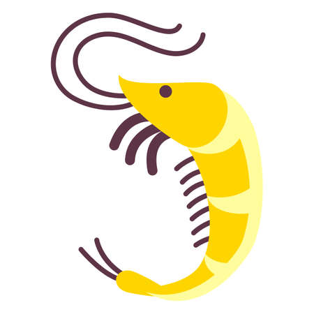 marine icon with cartoon flat animal isolated on whiteのイラスト素材