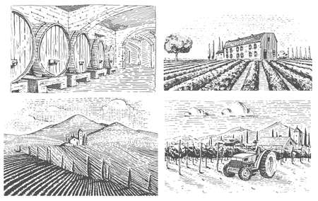 Vintage engraved, hand drawn vineyards landscape, tuskany fields, old looking scratchboard or tatooo styleのイラスト素材