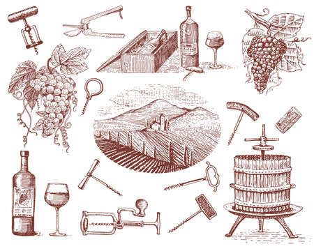wine harvest products, press, grapes, vineyards corkscrews glasses bottles in vintage style, engraved hand drawnのイラスト素材