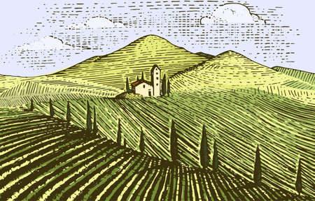 Vintage engraved, hand drawn vineyards landscape, tuskany fields, old looking scratchboard or tatooo styleのイラスト素材