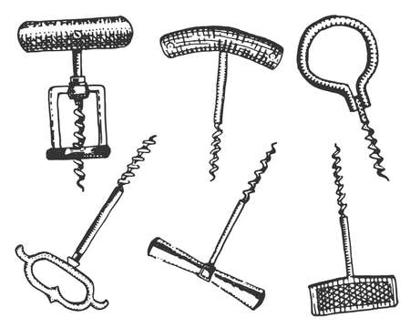 Big set of corkscrew in vintage old engraving style, hand drawn in scratchboard  classicのイラスト素材