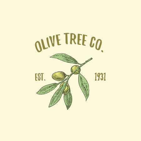 olive tree logo engraved or hand drawn, isolated old looking emblem for ecology, camping or food brandingのイラスト素材