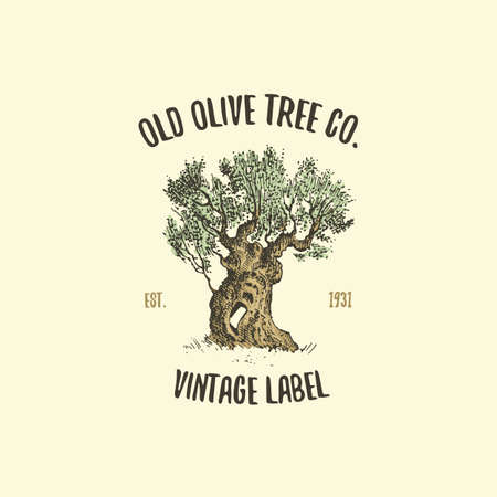 olive tree logo engraved or hand drawn, isolated old looking emblem for ecology, camping or food branding.のイラスト素材