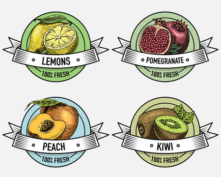 Vintage set of labels, emblems or logo for vegeterian food, fruits hand drawn or engraved. Retro farm american styleのイラスト素材