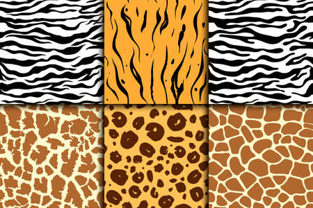 Seamless pattern with cheetah skin. vector background. Colorful zebra and tiger, leopard and giraffe exotic animal printのイラスト素材