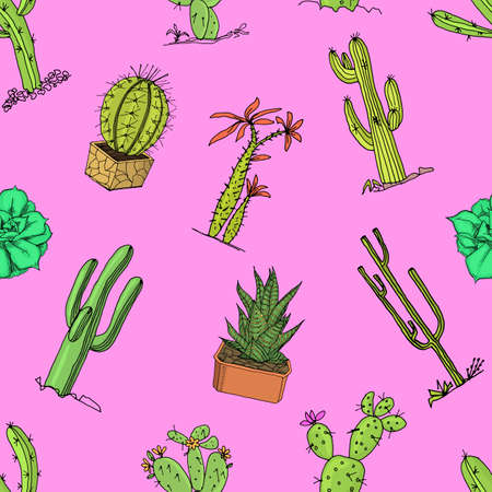 Cactus plants pattern.のイラスト素材