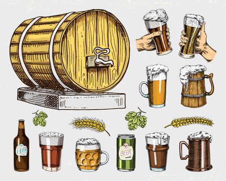 Beer glass, mug or bottle, wooden barrels. engraved in ink hand drawn in old sketch and vintage style for web, invitation to party or pub menu. design element isolated on white background.のイラスト素材