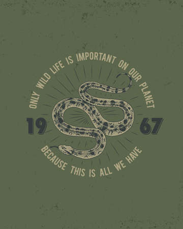 Viper snake. serpent cobra and python, anaconda or viper, royal. engraved hand drawn in old sketch,...