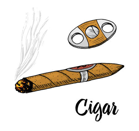 cigar or smoke, gentleman emblem. bad habit. classic cigarette. engraved hand drawn in old vintage sketchのイラスト素材