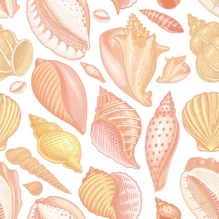 seamless pattern shells or Mollusca different forms. sea creature. engraved hand drawn in old sketch, vintage style. nautical or marine, monster or food. animals in the ocean.のイラスト素材