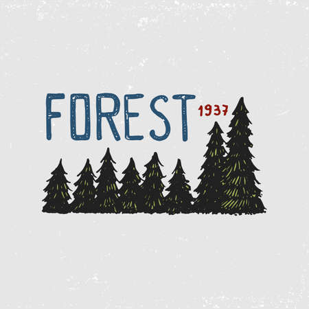 coniferous forest, mountains and wooden logo. camping and wild nature. landscapes with pine trees and hills. emblem or badge, tent tourist, brown bear, travel for vintage labels. engraved hand drawn.のイラスト素材