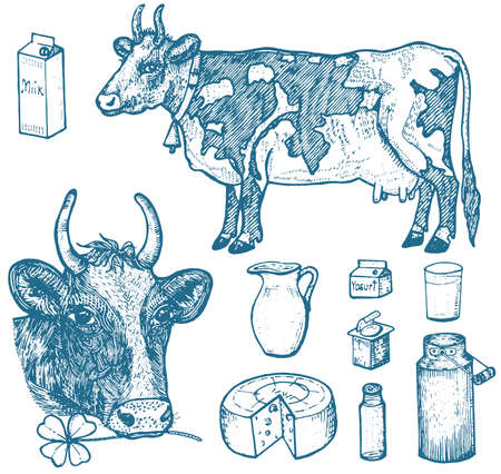 Set of milk food, dairy products, yogurt and cheese, ice cream, bottle, jug, butter and whipped milkshake. cow, can, country or rustic farm, healthy diet. engraved hand drawn in old sketchのイラスト素材