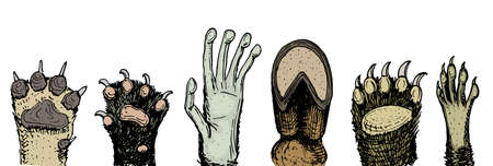 Paws of animals or footprints and wildlife. hands of monkey and dog, bear and frog, cat and hoof of cow. Domestic or farm or pets. Traces of mammals.のイラスト素材