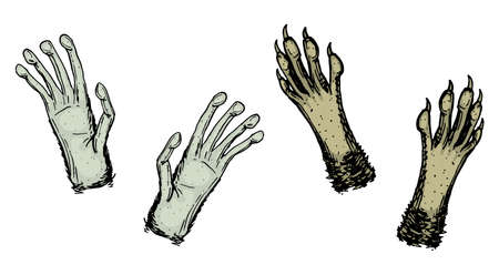 Paws of animals or footprints and wildlife. hands of monkey and raccoon. Domestic or farm or pets. Traces of mammals. Vector illustration.のイラスト素材