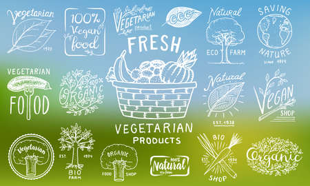 Healthy Organic food logos set or labels and elements for Vegetarian and Farm green natural vegetables products, vector illustration. badges healthy life. engraved hand drawn in old sketch.のイラスト素材