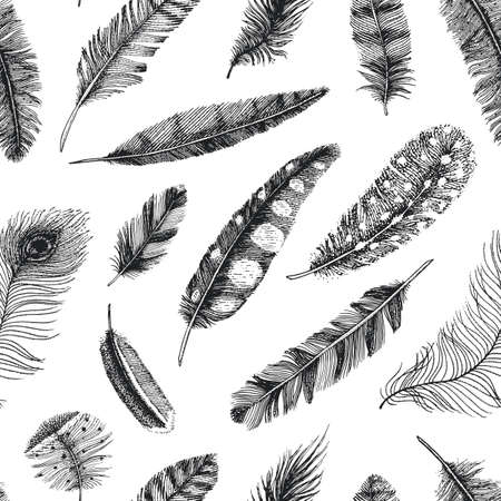 Seamless pattern. Rustic realistic feathers of different birds, owls, peacocks, ducks. engraved hand drawn in old vintage sketch. Vector illustrationのイラスト素材