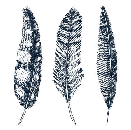 Set of Rustic realistic feathers of different birds Vector illustration.のイラスト素材