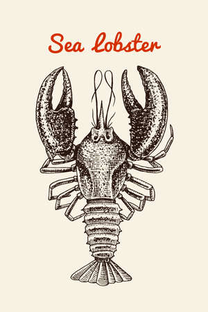 Crustacean lobster with claws. River and lake or sea creature. Freshwater aquarium. Poster for the menu. Engraved hand drawn in old vintage sketch. Seafood background.のイラスト素材