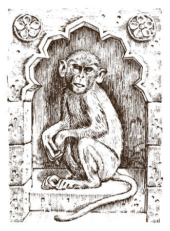 Cute monkey or vintage primate. Hand drawn, engraved wild animal. zoology african symbol. vector illustration. poster for book or web siteのイラスト素材