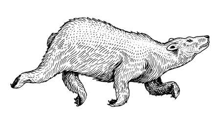 Soaring polar bear. Wild arctic white animal jumping. Monochrome Vintage style. Engraved hand drawn sketch for tattoo or label.の写真素材
