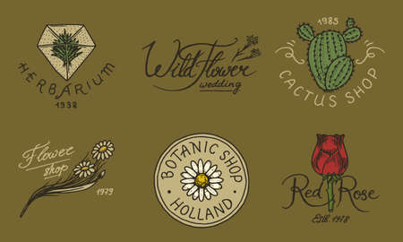 Flower shop emblems and Bright logo. Vintage bouquet. Gardening signs and beauty retro label. Hand drawn badges. Floral wedding templates.のイラスト素材