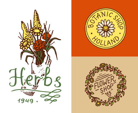 Flower shop emblems and Bright logo. Vintage bouquet. Gardening signs and beauty retro label. Hand drawn badges. Floral wedding templates.のイラスト素材