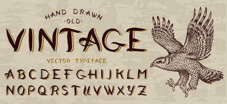 Calligraphic vintage font, Capital letters. Bird eagle, template for emblem and logo. Alphabet on retrobackground. Gothic Symbols types. Outlined version.のイラスト素材