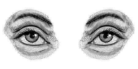 Human eyes in vintage style. Female look and eyebrows. Visual System, Sensory Organ Components. Hand drawn engraved sketch subject physiology or anatomy.のイラスト素材