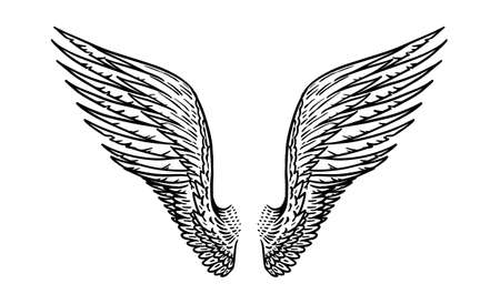 Angel wing in vintage style. Template for tattoo and emblems, t-shirts and logo. Emblem for stickers. Engraved sketch. Vector illustration.のイラスト素材