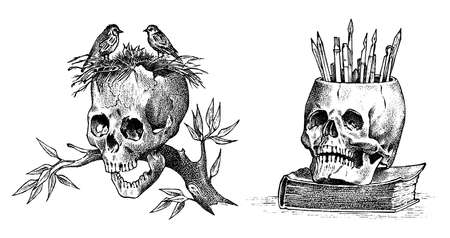 Human skull with birds and pencils. Retro old school sketch for tattoo in vintage style. Monochrome Symbol. Hand drawn engraved retro badge for t-shirt, banner, poster.のイラスト素材