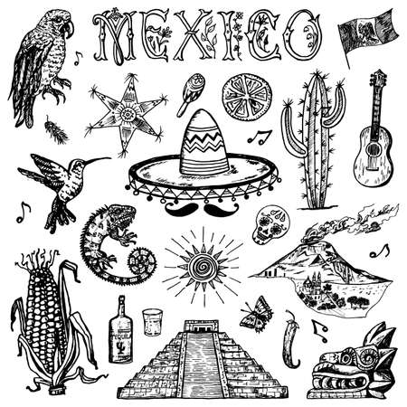 Mexico set in vintage style. Traditional national costume on a woman, animals, plants and musical instruments. Engraved hand drawn sketch.のイラスト素材