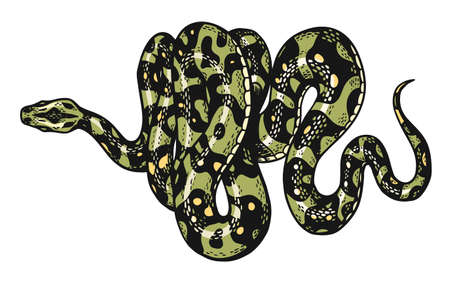 Snake in Vintage style. Serpent cobra or python or poisonous viper. Engraved hand drawn old reptile...