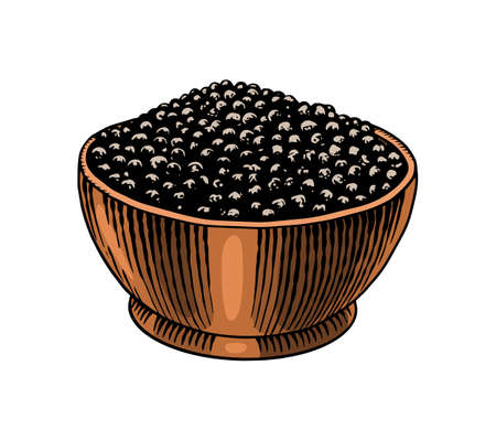 Bowl of Black pepper in Vintage style. Mortar and pestle. Dried seeds, a bunch of spices. Allspice or peppercorn. Herbal seasoning. Engraved hand drawn vector sketch for backgroundのイラスト素材