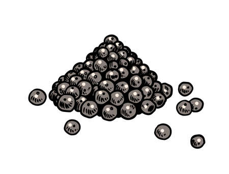 Black pepper in Vintage style. Dried seeds, a bunch of spices. Allspice or peppercorn. Herbal seasoning for cooking. Engraved hand drawn vector sketch for background.のイラスト素材