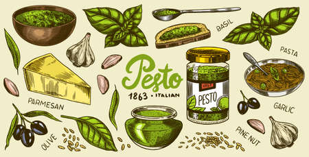 Pesto sauce set. Basil leaves, garlic, pine nuts, hard parmesan cheese, olive oil, pesto alla genovese. Spicy condiment, glass bottle, wooden spoon or dish, bunch of seeds. Engraved hand drawn sketch.のイラスト素材