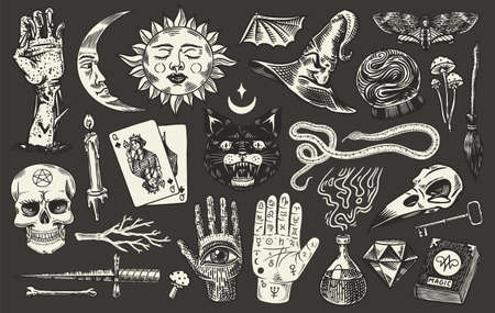 Mystical magic boho elements. Witchcraft astrological set. Esoteric alchemy sketch for tattoo. Drawn Engraved Game Cards and Black Cat and Palmistry.のイラスト素材