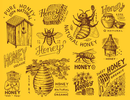 Honey and bees set. Beekeeper man and Honeycombs and hive and apiary. Vintage typography, shop or signboards. Badge for t-shirts. Hand Drawn engrave sketch. Vector illustration.のイラスト素材
