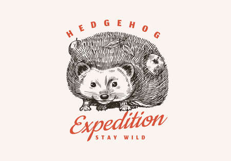 Hedgehog badge.のイラスト素材